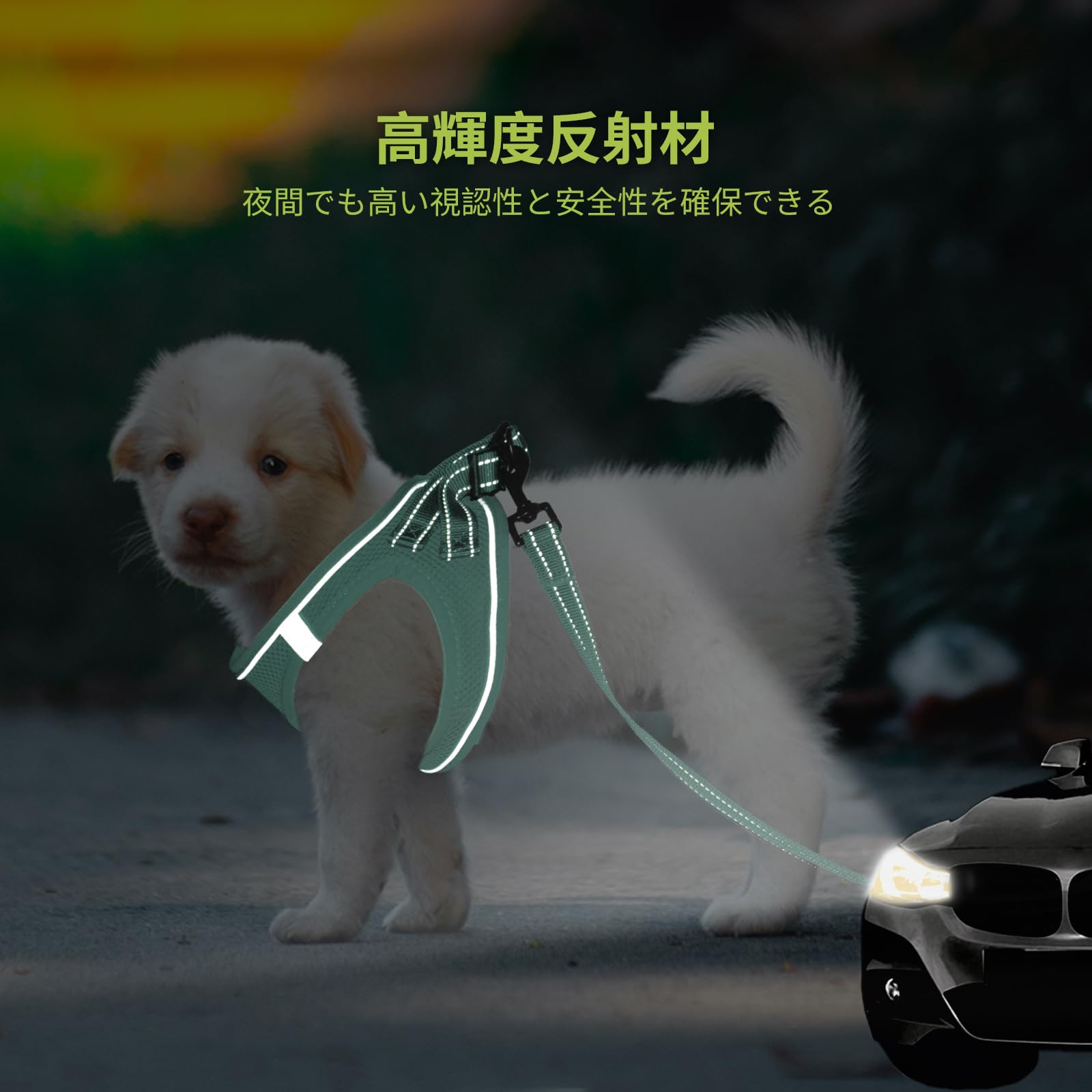 Amazon | BELLA & PAL 犬用 ハーネス リード セット 小型犬 超小型犬